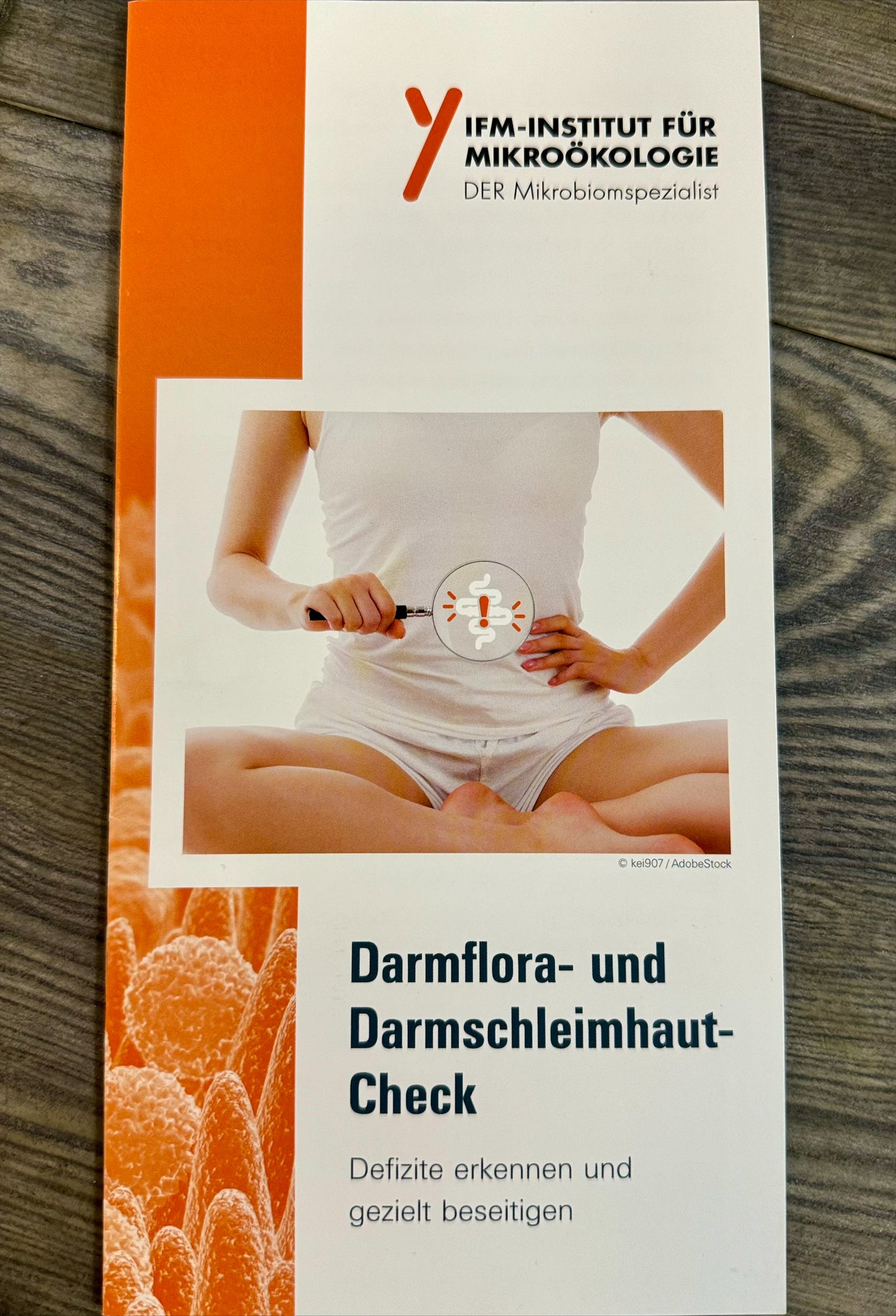 Darmflora-& Darmschleimhaut-Check