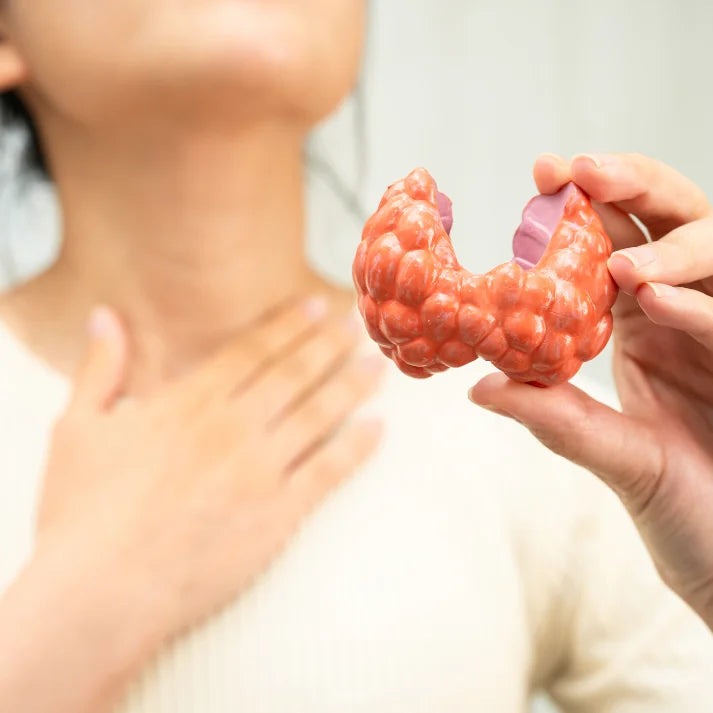 ZENbra® Impuls Vortrag 18.03.2026 – Die Schilddrüse im Gleichgewicht